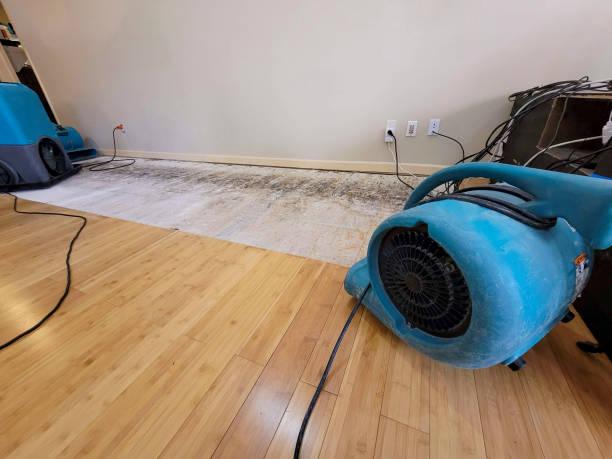 Professional Water Extraction technician working in North Billerica, MA